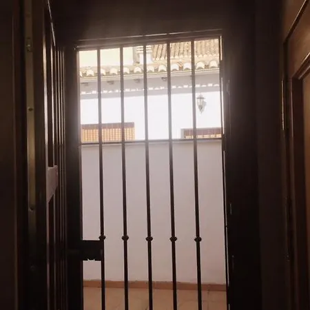 Appartement Bonito En El Centro De Con Parking Gratis Grenade